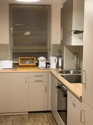Küche/Küchenzeile in der Unterkunft Apartment City Center Prestige