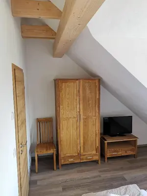 TV/Unterhaltungsangebot in der Unterkunft Apartment in Papstdorf 