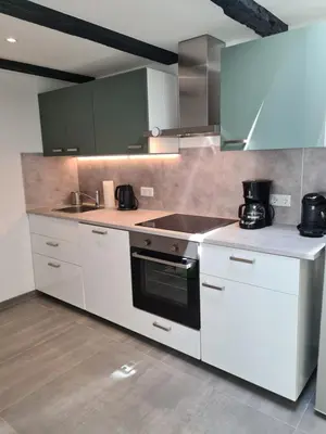 Küche/Küchenzeile in der Unterkunft Apartmenthaus Luise