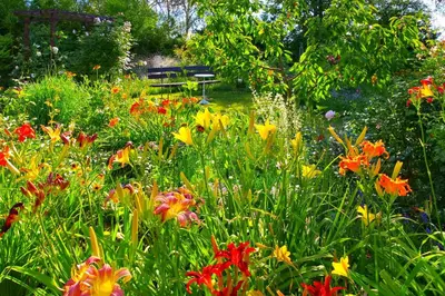 Ein Garten an der Unterkunft Ferienwohnung Lausitzer Seenland Freienhufen 