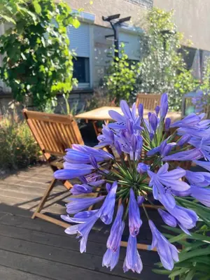 Ein Garten an der Unterkunft Ferienwohnung Sonja am Weinberg