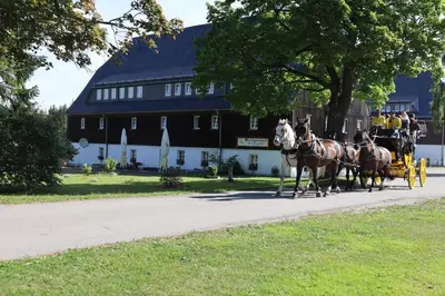Reiten im Hotel oder in der Nähe