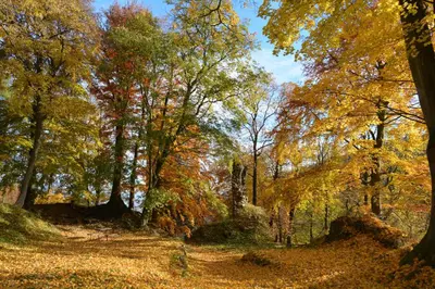 Naturlandschaft in der Nähe des Hotels