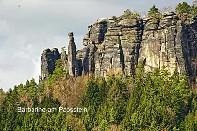 Naturlandschaft in der Nähe der Ferienwohnung