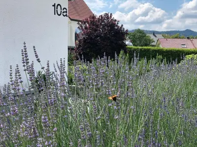 Naturlandschaft in der Nähe des Ferienhauses