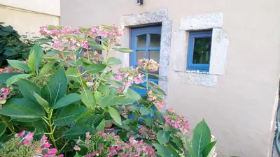 Ein Garten an der Unterkunft Ferienhaus Nicolaus