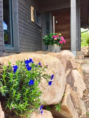 Ein Garten an der Unterkunft Beerenhaus