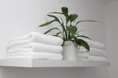 Grundriss der Unterkunft Ferienwohnung Muelenz