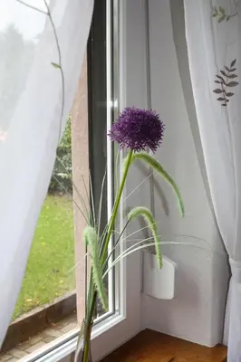 Ein Garten an der Unterkunft Ferienwohnung Scharnhorst