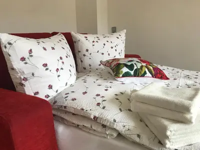 Ein Bett oder Betten in einem Zimmer der Unterkunft Zentrum Apartment Bad Schandau