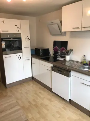 Küche/Küchenzeile in der Unterkunft Ferienwohnung zum Pinguin