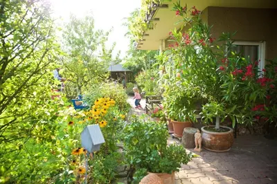 Ein Garten an der Unterkunft Ferienwohnung Dr. Vera Schmidt