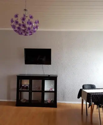 TV/Unterhaltungsangebot in der Unterkunft Ferienwohnung Hesse