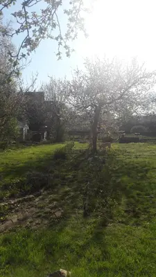 Ein Garten an der Unterkunft NEW LOOK
