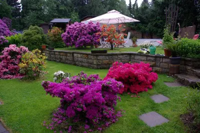 Ein Garten an der Unterkunft Ferienwohnung „Kleine Liebe“