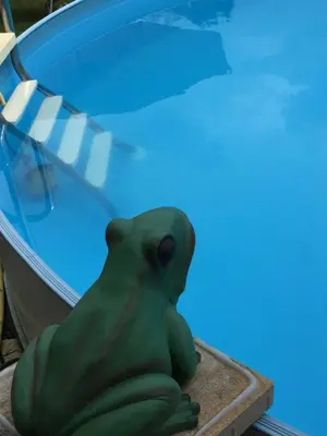 Der Swimmingpool an oder in der Nähe von Ferienwohnung „Kleine Liebe“