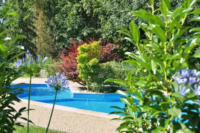 Ein Garten an der Unterkunft Ferienwohnung Elbe