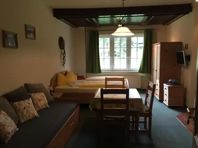 TV/Unterhaltungsangebot in der Unterkunft Landhaus Gohrisch
