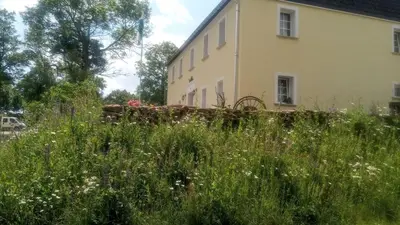 Ein Garten an der Unterkunft Gasthaus Ruebenau