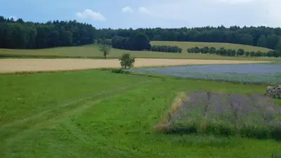 Naturlandschaft in der Nähe der Ferienwohnung