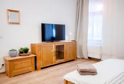 TV/Unterhaltungsangebot in der Unterkunft Apartment Dora