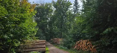 Naturlandschaft in der Nähe der Ferienwohnung