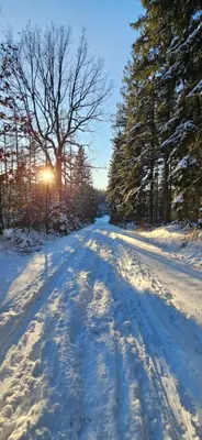 Ferienwohnung am Wald im Winter