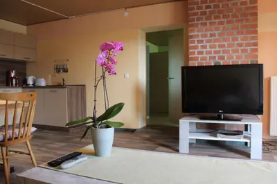 TV/Unterhaltungsangebot in der Unterkunft Ferienwohnung im Grünen