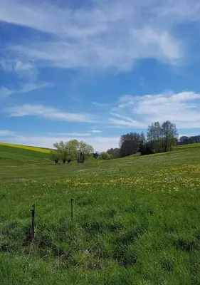 Naturlandschaft in der Nähe des Ferienhauses