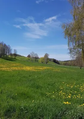 Naturlandschaft in der Nähe des Ferienhauses