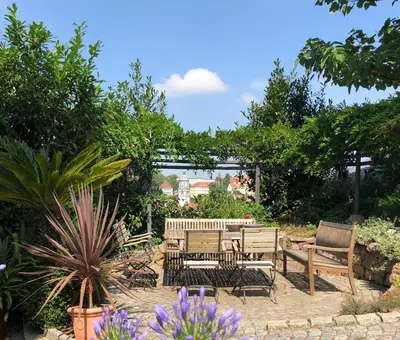 Ein Garten an der Unterkunft Rebenhaus Meißen
