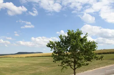Naturlandschaft in der Nähe der Ferienwohnung