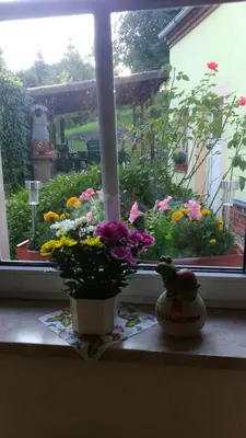 Ein Garten an der Unterkunft Gästewohnung zum Wohlfühlen