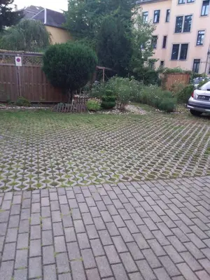 Ein Garten an der Unterkunft Pieschen Hertz _toller Preis