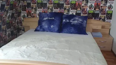 Ein Bett oder Betten in einem Zimmer der Unterkunft Pieschen Hertz _toller Preis