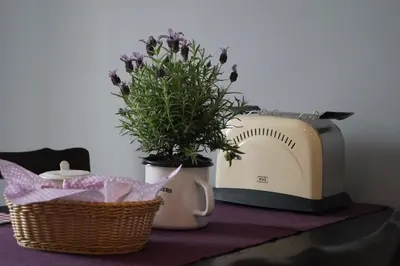 Grundriss der Unterkunft FeWo La Lavendula
