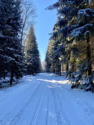 Ferienwohnung Heinzebank im Winter