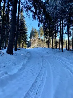 Ferienwohnung Heinzebank im Winter