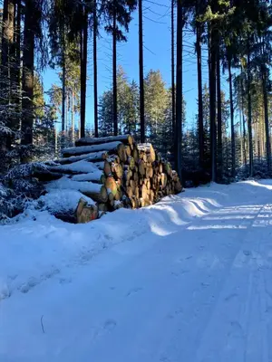 Ferienwohnung Heinzebank im Winter
