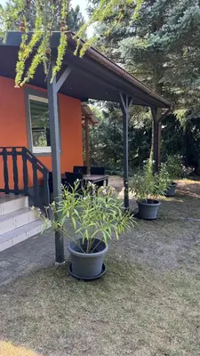 Ein Garten an der Unterkunft Pension Lausa