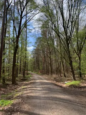 Naturlandschaft in der Nähe des Ferienhauses