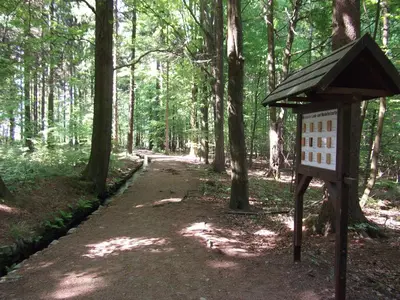 Grundriss der Unterkunft Ferienwohnung Erzgebirge - Pobershau - mit schönem Ausblick, ruhige, beste Lage