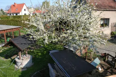 Ein Garten an der Unterkunft Ferienwohnung Nicklich