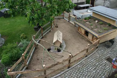 Ein Garten an der Unterkunft Ferienwohnung Nicklich