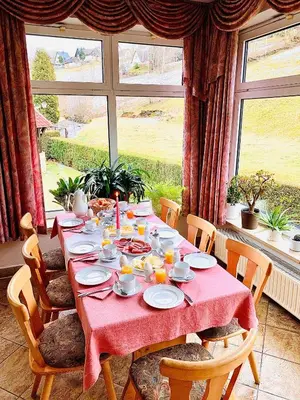 Ein Garten an der Unterkunft Pension Weiberwirtschaft in Pobershau