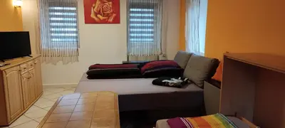 TV/Unterhaltungsangebot in der Unterkunft Gästewohnung am Thümmlitzwald