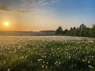 Naturlandschaft in der Nähe der Ferienwohnung