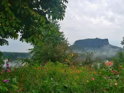 Naturlandschaft in der Nähe der Ferienwohnung