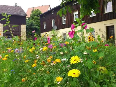 Ein Garten an der Unterkunft Wohnung in Weibig mit Garten