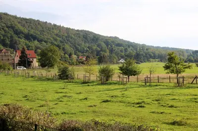 Naturlandschaft in der Nähe der Ferienwohnung